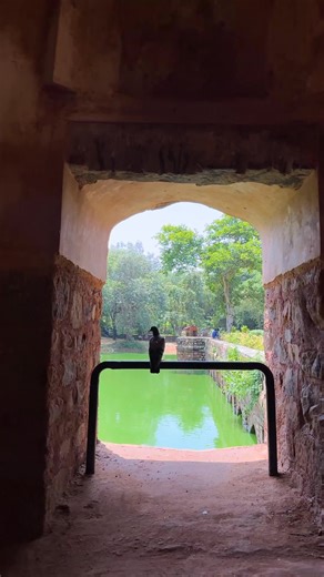Older than the Mughals. Haunted by Sufi lovers. Hiding a secret café. 👀 Mehrauli Archaeological Park is basically Delhi’s time machine — with 1000 years of history, a stepwell maze, and the chillest corner of them all: The Cafe Stone. ☕🌿 Here, you can sip chai, munch on veg snacks, and watch peacocks stroll past — all while sitting in the middle of heritage ruins. 🫶 This Plan Banao isn’t just a weekend idea… it’s a journey back in time. ⏳ [Plan Banao Mehrauli Archaeological Park, The Cafe Sto