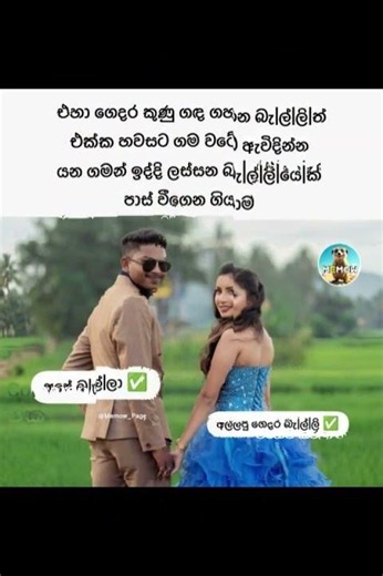 බුකියේ රස කතා අද 😂 | HC Fun Memes 🤣 #sinhala #shorts #memes Episode 2506 #athalmemes #shorts