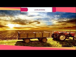Livelihood - Occupations class-6