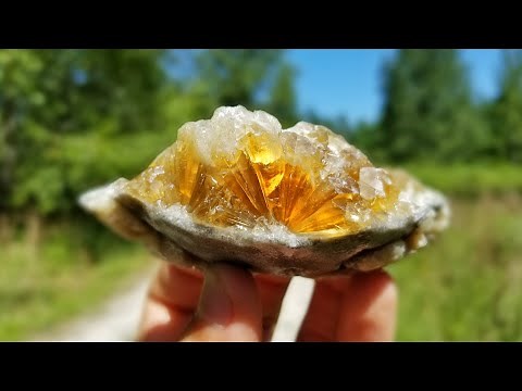 I Found TONS of Crystals in Florida | Calcite Crystal and Fossil Hunting on Dirt Roads