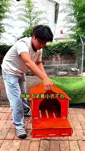 Amazing Orange Chicken Coop Gets a Powerful Water Test! 🐔💦 | Unique Farm Idea