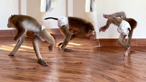 26K views · 714 reactions | Judy Astonishingly Dancing & Twirling 12 Rounds Of Spin Just To Amuse Her Mom | The Judy Family | Facebook