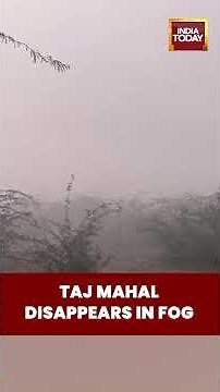Dense Fog Engulfs Agra; Taj Mahal Obscured at Taj View Point ADA