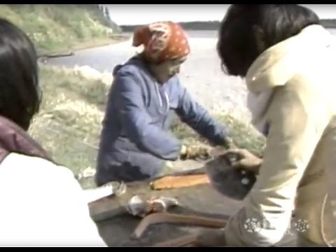 Living on the Land in Alaska: Two Stories (1983)