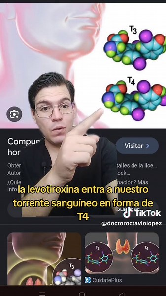 Levotiroxina: Usos, Efectos y Consideraciones Médicas