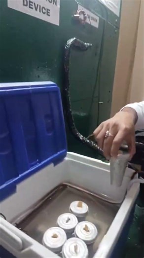 "kulfi maker project "