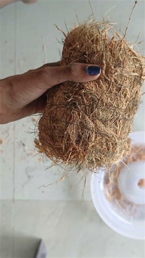 Diy pot for plants #wastematerialcraft #craft #plants #ideas #pots #diy #viral #shorts #indoorplants