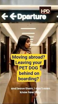 Dog boarding rules for pet parents: Expert tips for stress-free boarding