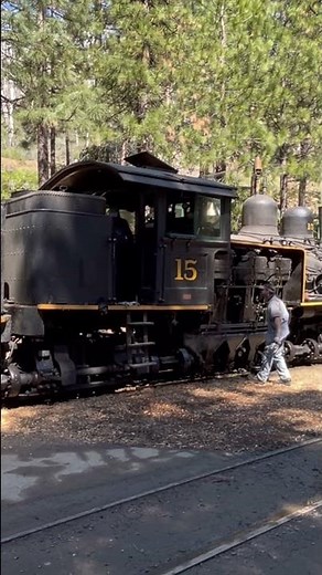 Steam engine maintenance