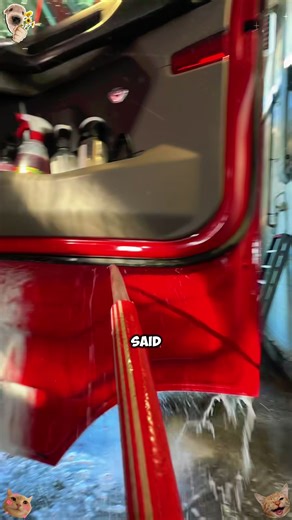 Christmas Morning Surprise Revealed Unforgettable Gift