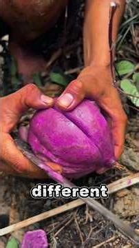 5 Fruits That Completely Surprise You After the First Bite