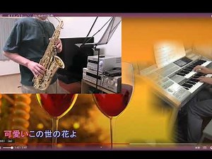 可愛い花（ザ・ピーナッツ）アルトサックスでみみちゃんとコラボ演奏20240708