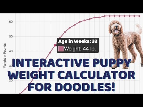 Interactive Puppy Weight Calculator for Doodles! Demo & Quick Adult Weight Formulas
