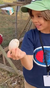 Picking cabbage from the garden 💚 Part 7 | CookingwithSammy