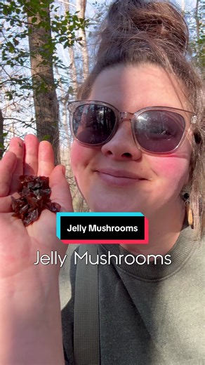 Foragin’ jelly mushrooms. 🤎 #winter #fyp #foraging #appalachia #kentucky
