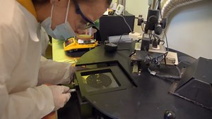 The Semiconductor Technology programs prepare students to enter emerging fields in semiconductor fabrication, micro-electro-mechanical systems and nanotechnology. Ready to start a new career? Apply today for the fall semester! https://www.hvcc.edu/programs/fall.html | Hudson Valley Community College | Facebook