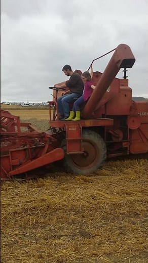Moissonneuse batteuse Massey Ferguson