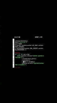 Build a Python Chat App Using Sockets | Step by Step reel #python #networking #socketprogramming