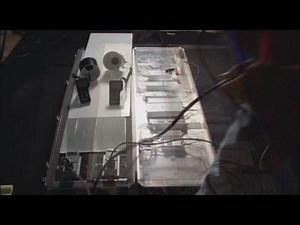 Neon Efficiency vs. Led Efficiency