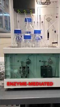 Our Competitive Edge: Real-Time Lab Testing and Formula Optimization