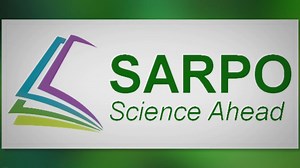 Unlock the Mystery of the Evergreen Tree That Never Sheds Its Leaves