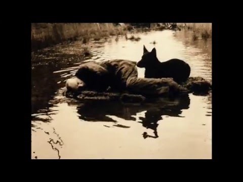 Andrei Tarkovsky's Stalker (Scenes)