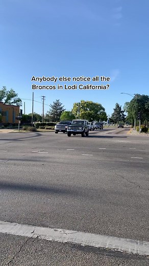 Wild Horses Broncos on TikTok