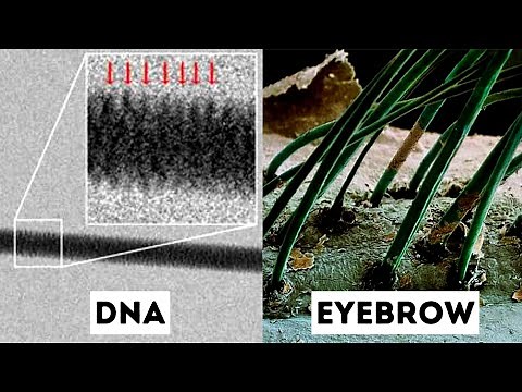 Unique Objects Under Electron Microscope!
