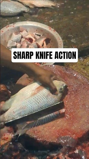 Ultimate Tilapia Fish Cutting Skills 🔪🐟 Fresh Fillet Process Satisfying ASMR