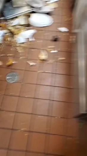 Dirty Kitchen in the Restaurant Industry