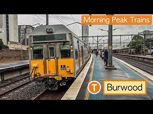 Transport for Sydney Vlog 881: Burwood Station - Morning Peak Trains