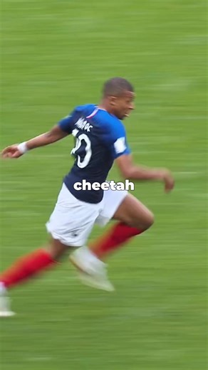 Here are the 5 fastest players in the world #fastplayer #mbappe #adeyemi #davies #salah