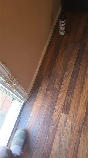 Recent Biohazard Cleanup Highlights