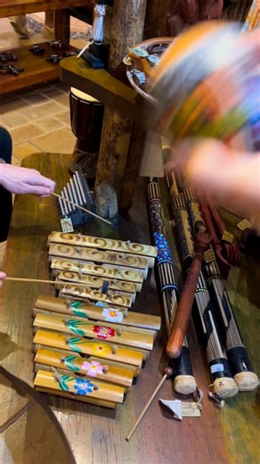 Simon Moullier on Instagram: "🦜🦩"