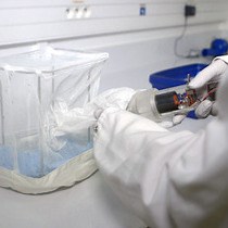 Video: Myeloid Cell Isolation from Mouse Skin and Draining Lymph Node Following Intradermal Immunization with Live Attenuated Plasmodium Sporozoites