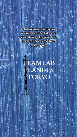 Immersive Experience at TeamLab Planets Tokyo: A Journey of Wonder