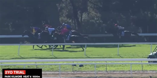 Star Je Taime at Kilmore trials
