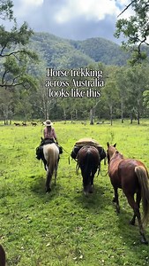 I’ve heard a lot that we make trekking look easy - and that’s just so far from the truth. Sure, there’s pretty views. But it’s hard to show the 41 days without a shower. The big days. The steep climbs. The mental load of keeping six horses safe. Horse trekking certainly isn’t glamorous, and it definitely isn’t easy. But after more than 2000kms, we can tell you it’s definitely worth it 🐴⛺️ | Away Awhile: Horse trekking Australia’s longest trail