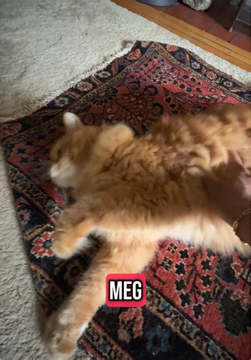 IG @peejayyy123 on TikTok