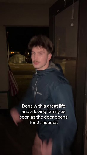 Heartwarming Moments of Happy Dogs with Loving Families