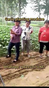 How a Garlic Planting Machine Works! | Garlic Seeder for Farming