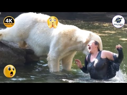 55 MOST BRUTAL WILD ANIMAL ATTACKS CAUGHT ON CAMERA – SHOCKING HUMAN ENCOUNTERS!