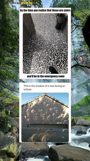 by the time you realize 🏡