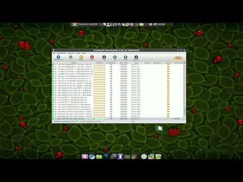 FreeRapid - Rapidshare Downloader - Linux Mint 7