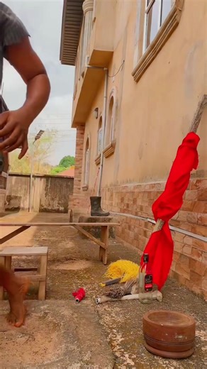 Deaf Native Doctor part 1 🤣🤣😂