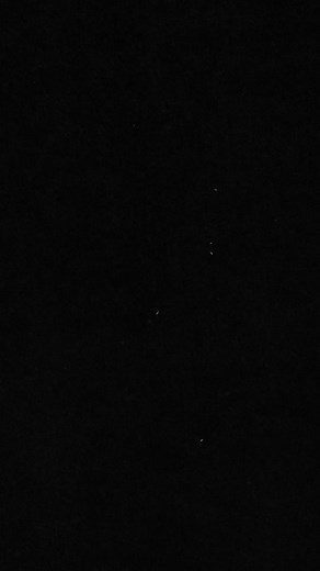 Lollapalooza USA on TikTok