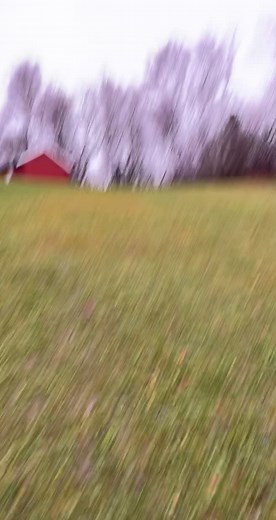 #foryou #foryoupage #stupelæll #fail #fall #slidingintothedms