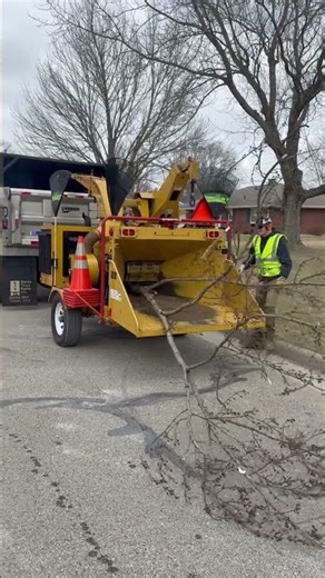 GovDeals: 2012 Rayco Chipper