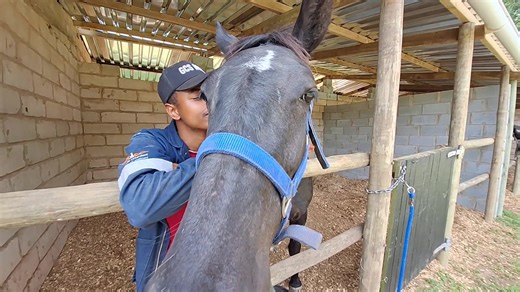 IN TODAY'S TALK OF THE TOWN A forward-thinking programme of the Bathurst Agricultural Show, a positive attitude and a real love for horses have put Bathurst Village's Austin Mhlonyane on course for a promising career in equine care. Read about him in this week's Talk of the Town - out today! | Talk of the Town