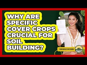 Why Are Specific Cover Crops Crucial For Soil Building? - Farm Wealth Network